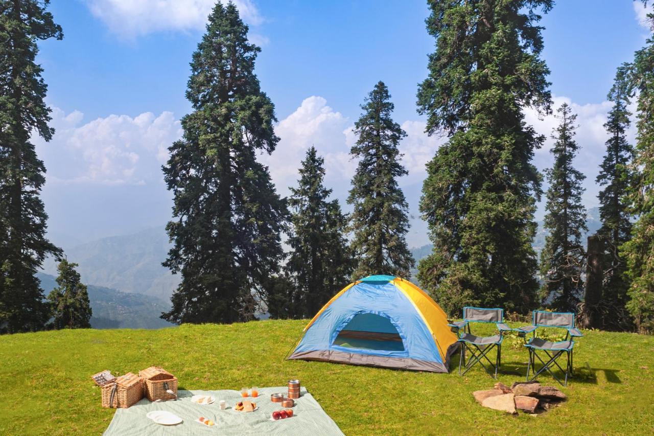 Taj Theog & सहारा 5*